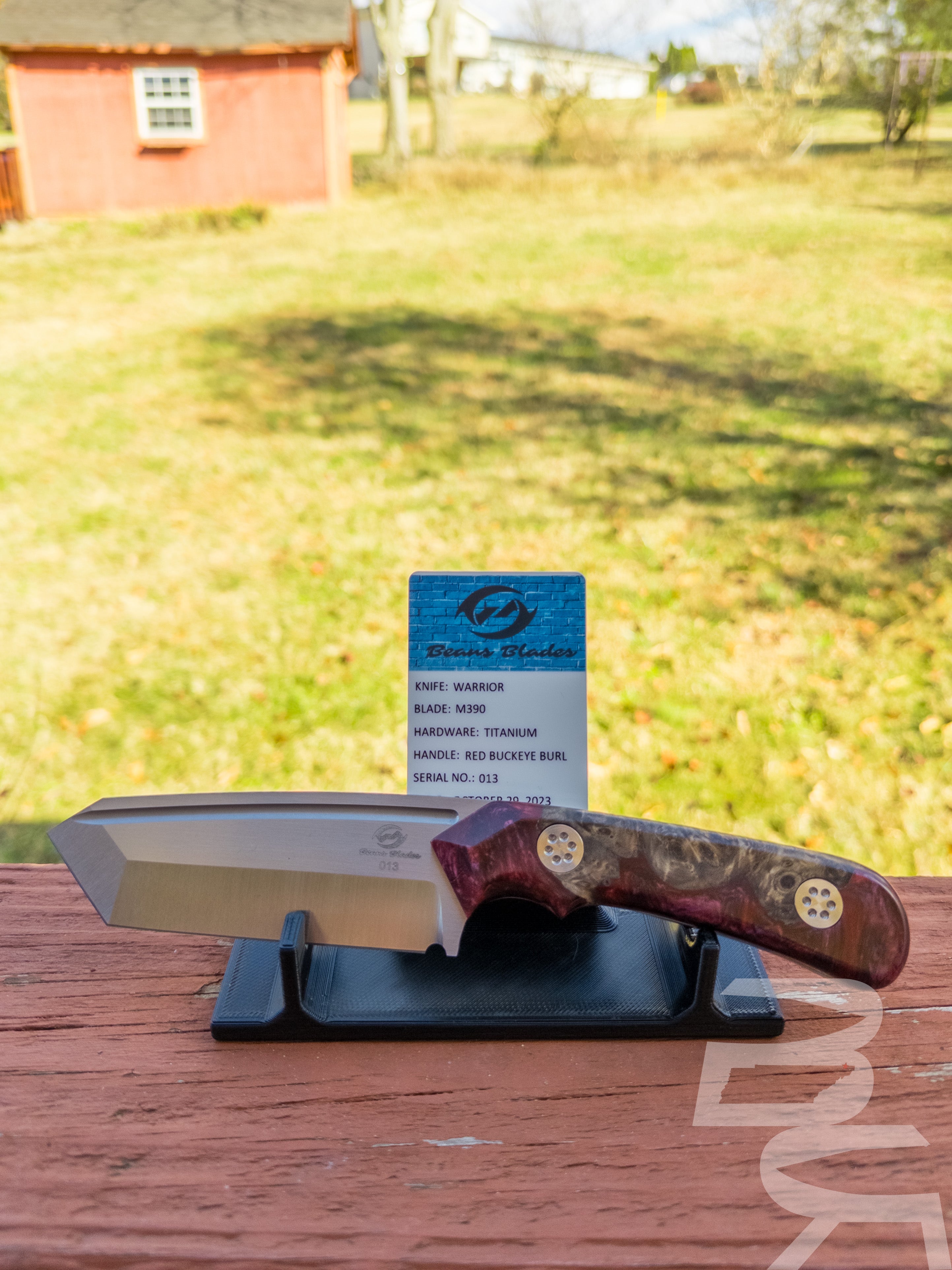 Beans Blades Fixed Warrior M390 Red Buckeye Burl Wood Resin Handle 1 Off SN:013